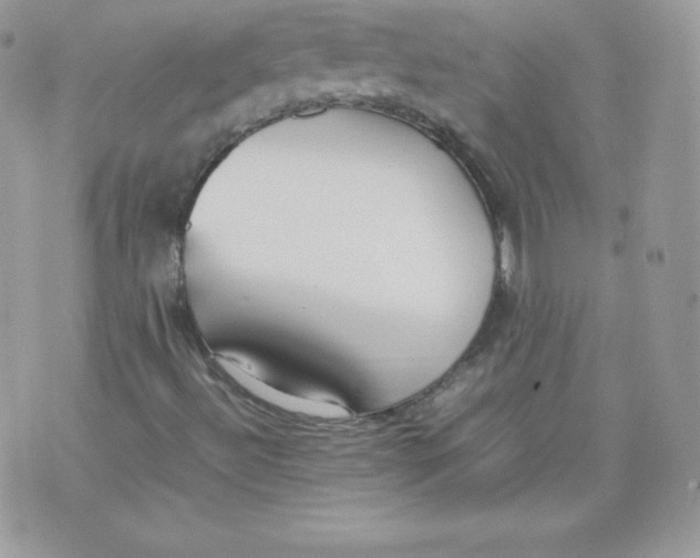 X0000074931492200609291744