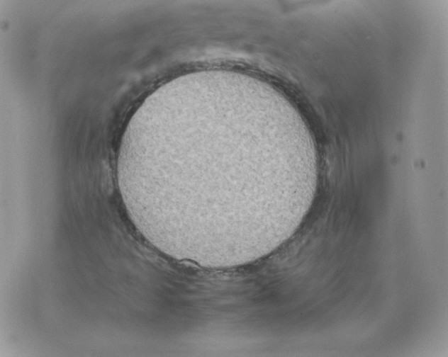 X0000074931493200609291744