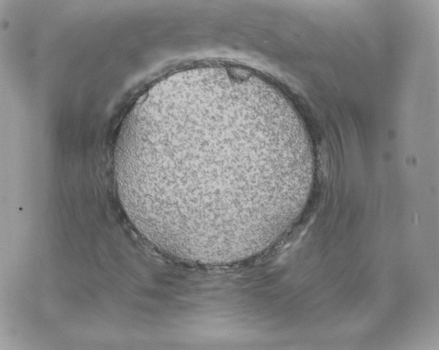 X0000074931494200609291744