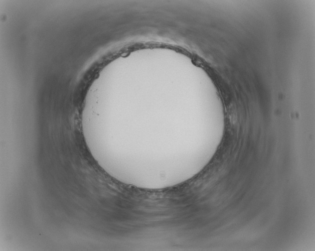 X0000074931495200609291744