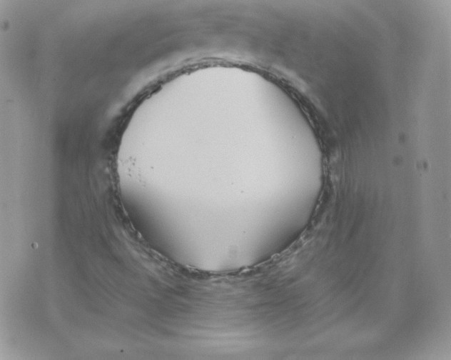 X0000074931496200609291744