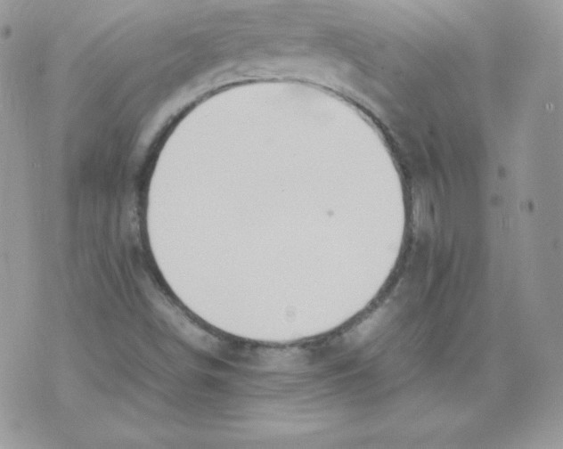 X0000074931498200609291744