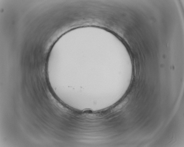 X0000074931500200609291744