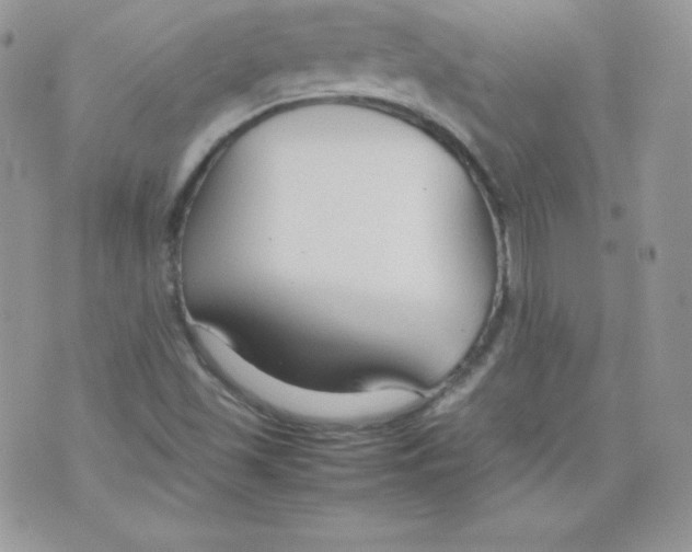 X0000074931501200609291744