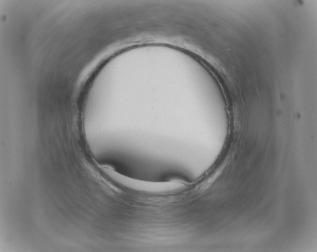 X0000074931502200609291744