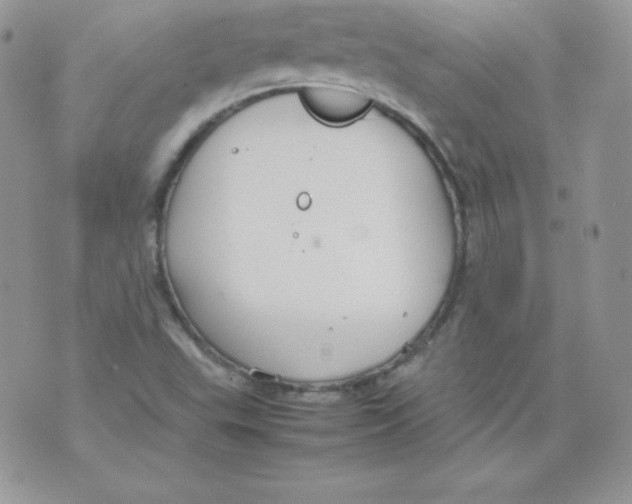 X0000074931503200609291744