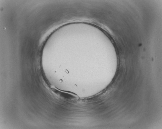 X0000074931504200609291744