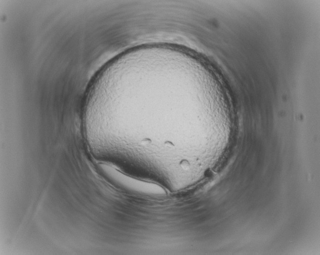 X0000074931505200609291744