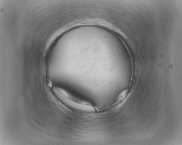 X0000074931506200609291744