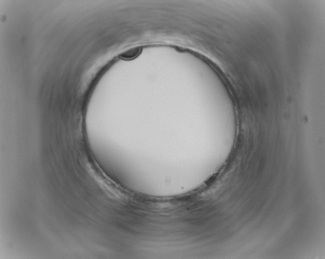 X0000074931507200609291744