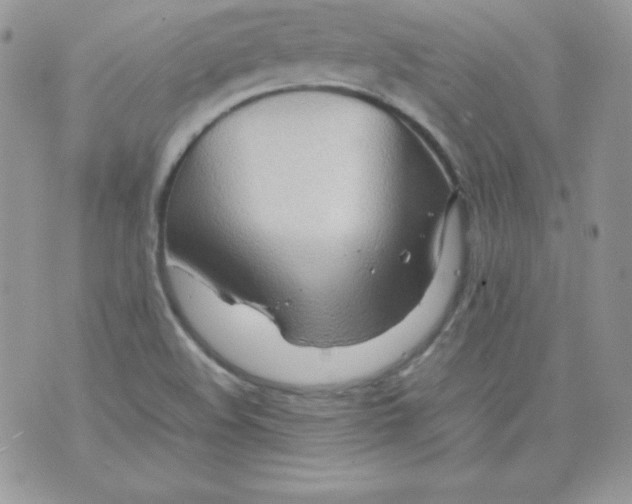 X0000074931508200609291744