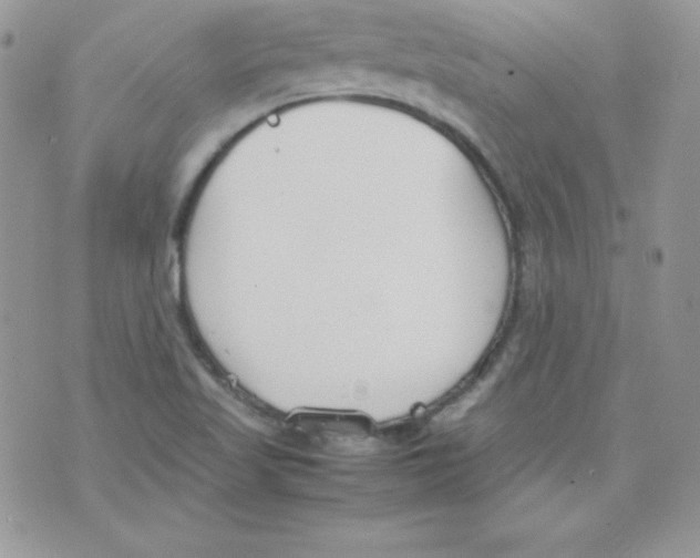 X0000074931509200609291744