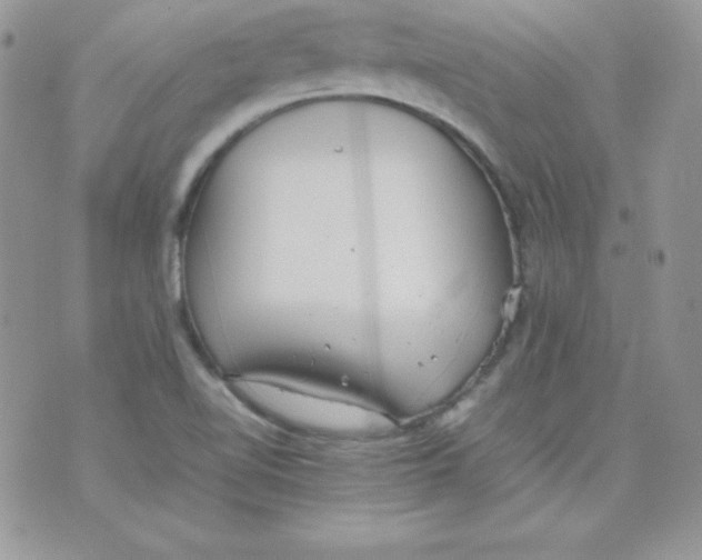 X0000074931510200609291744