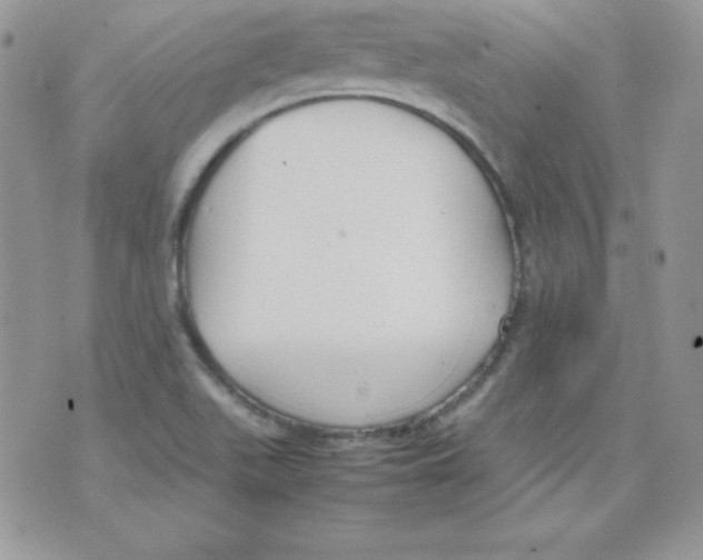 X0000074931511200609291744