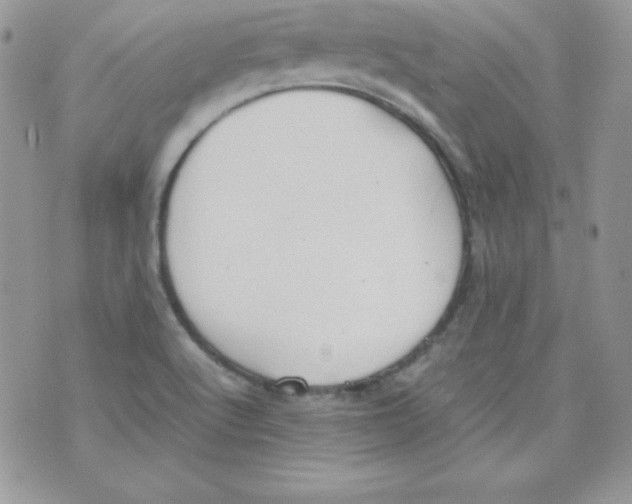 X0000074931512200609291744