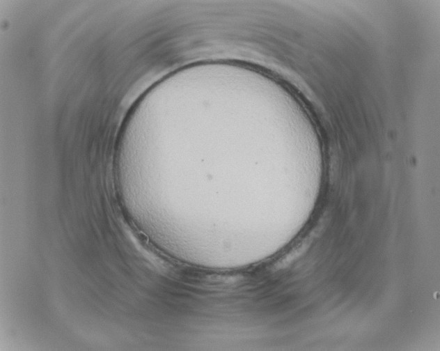 X0000074931513200609291744