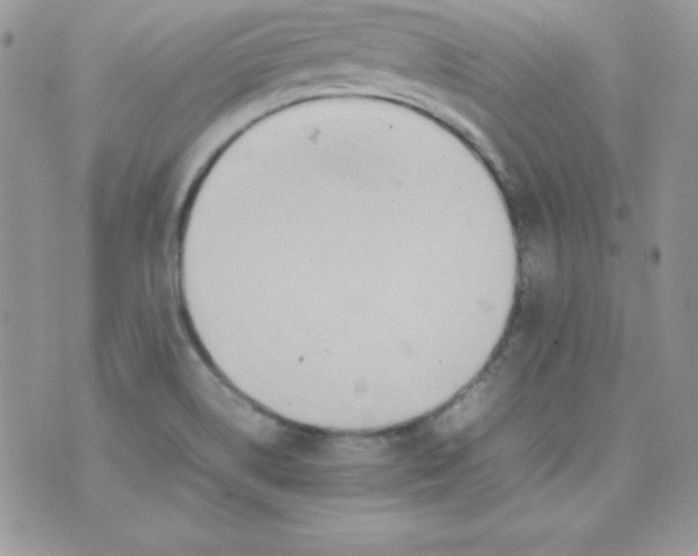 X0000074931514200609291744