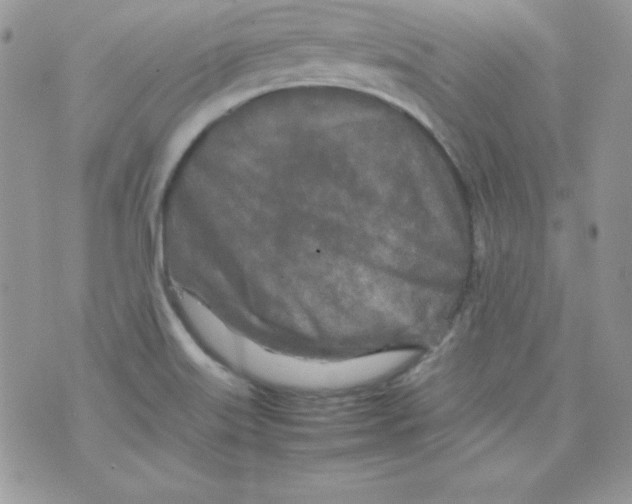 X0000074931515200609291744