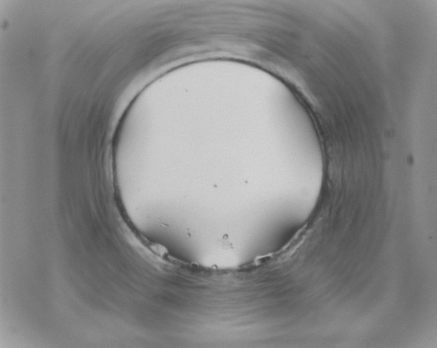 X0000074931516200609291744