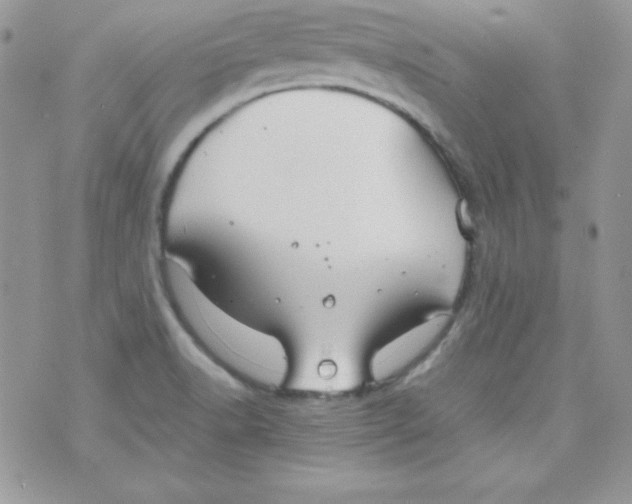 X0000074931518200609291744