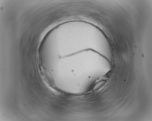 X0000074931519200609291744