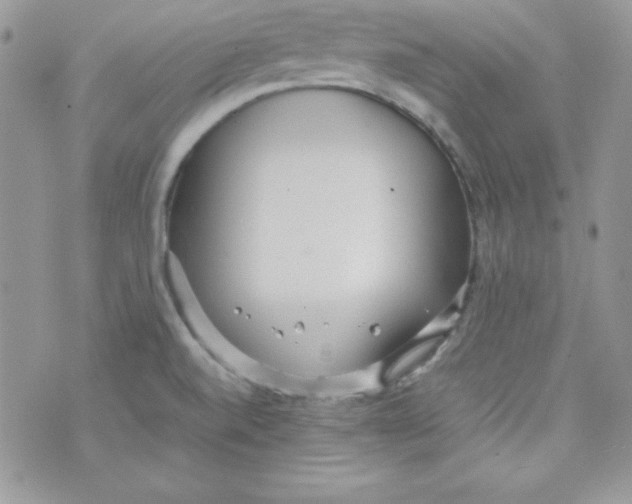 X0000074931520200609291744