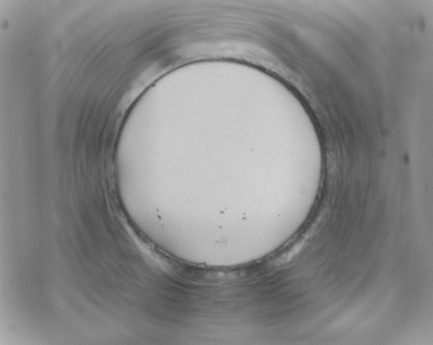 X0000074931521200609291744