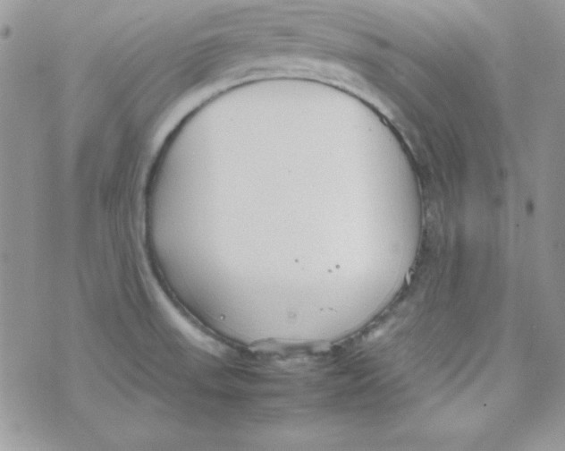 X0000074931523200609291744