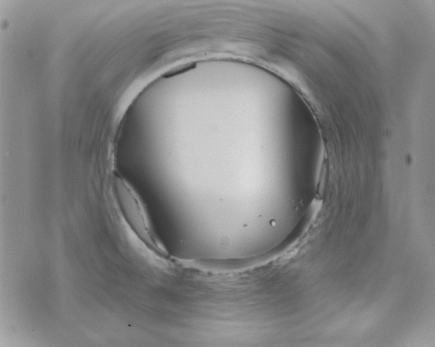 X0000074931524200609291744