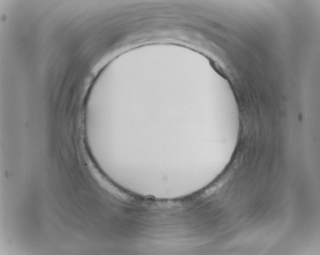 X0000074931526200609291744