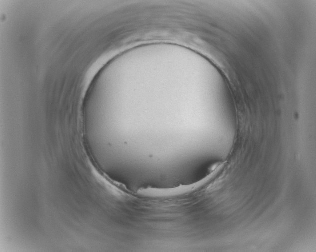 X0000074931527200609291744