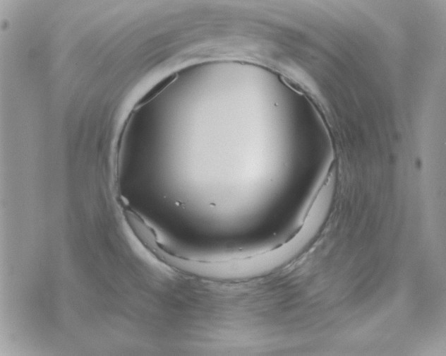 X0000074931528200609291744