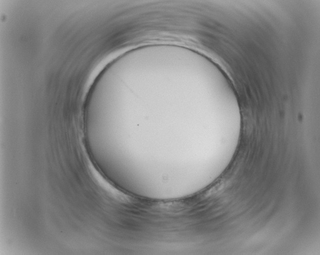 X0000074931531200609291744