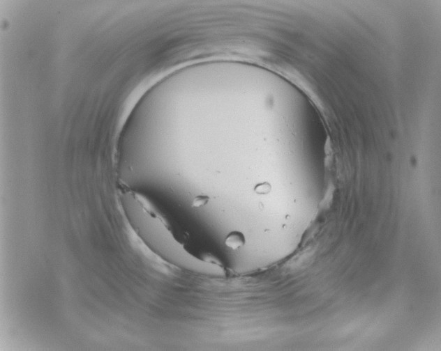 X0000074931532200609291744