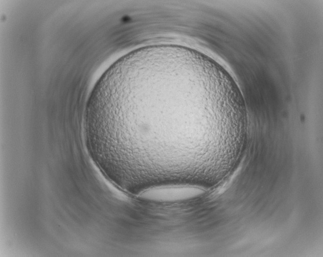 X0000074931533200609291744