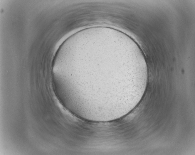 X0000074931534200609291744