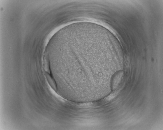 X0000074931535200609291744