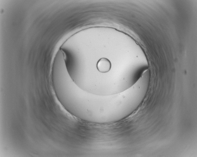 X0000074931536200609291744