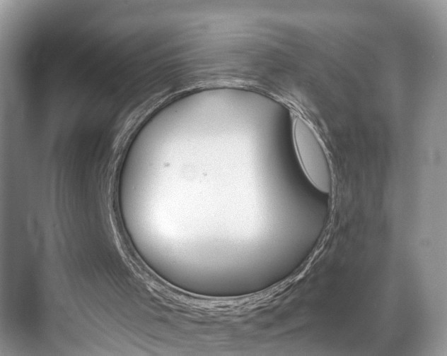 X0000074940001200609010957