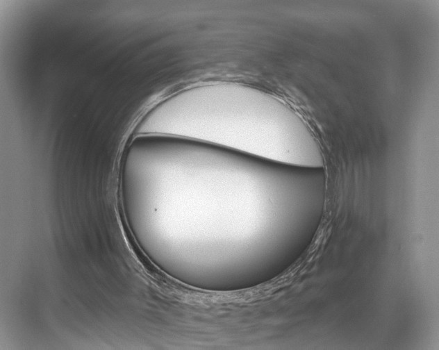 X0000074940003200609010957