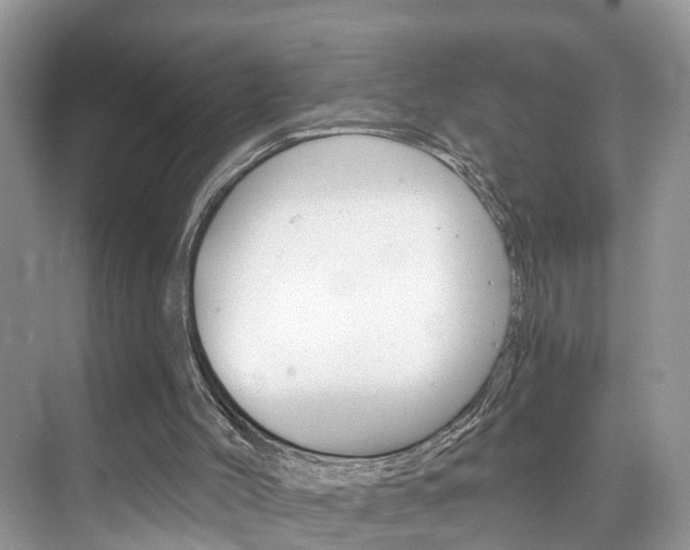 X0000074940004200609010957