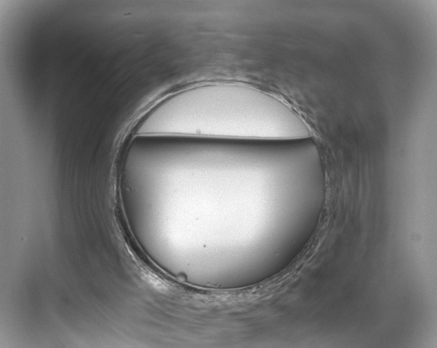 X0000074940005200609010957