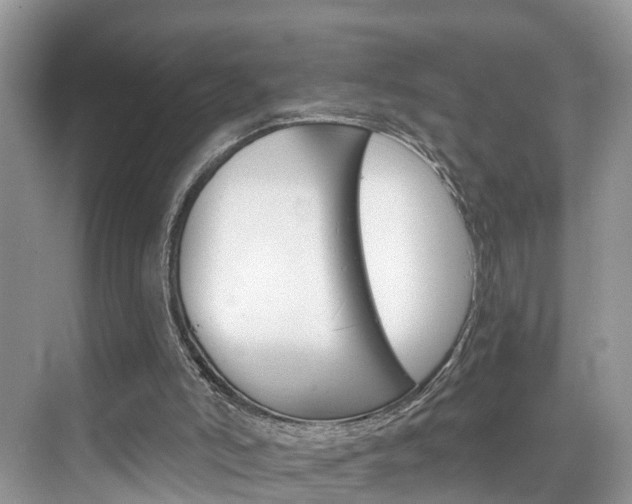 X0000074940006200609010957