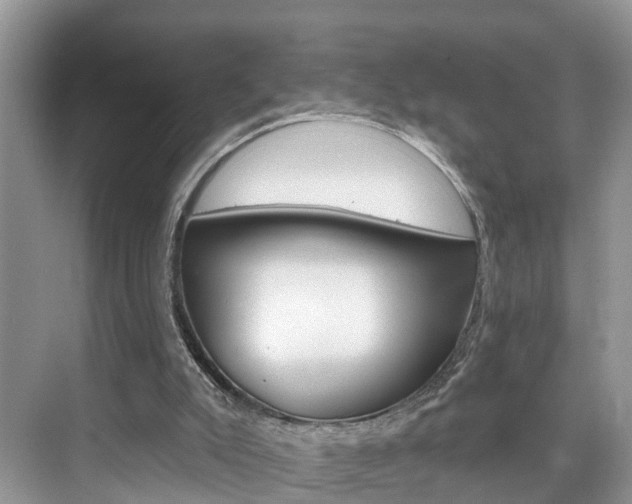 X0000074940007200609010957