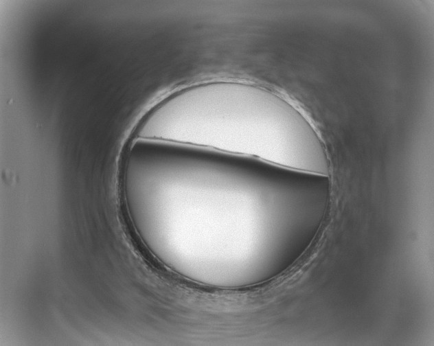 X0000074940008200609010957