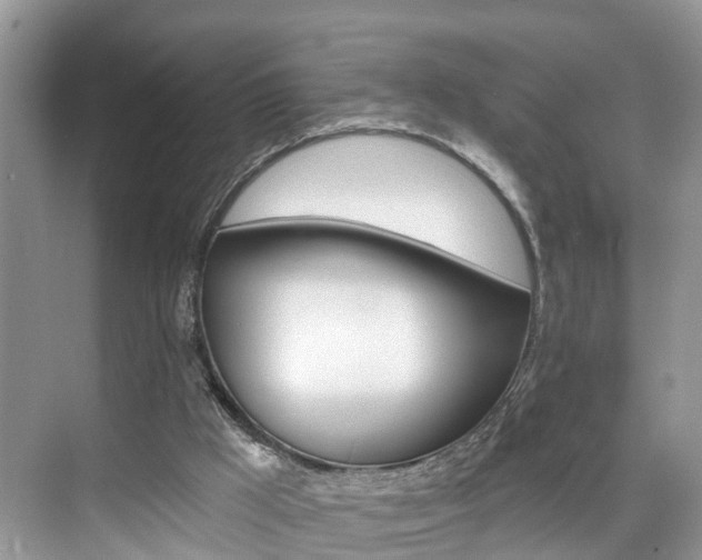 X0000074940009200609010957