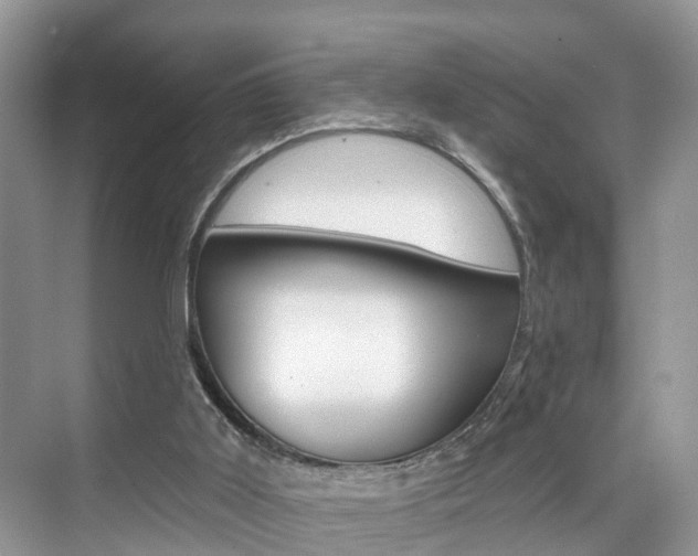 X0000074940011200609010957