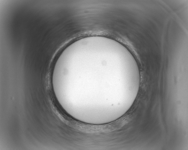 X0000074940012200609010957