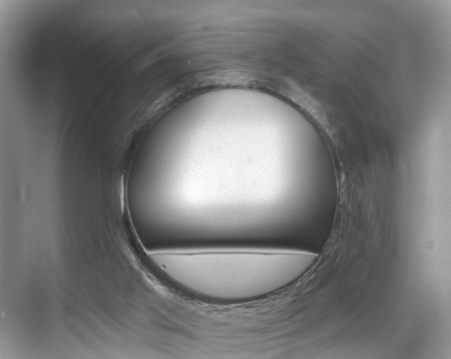 X0000074940013200609010957