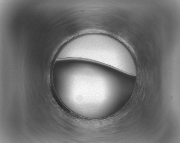 X0000074940015200609010957